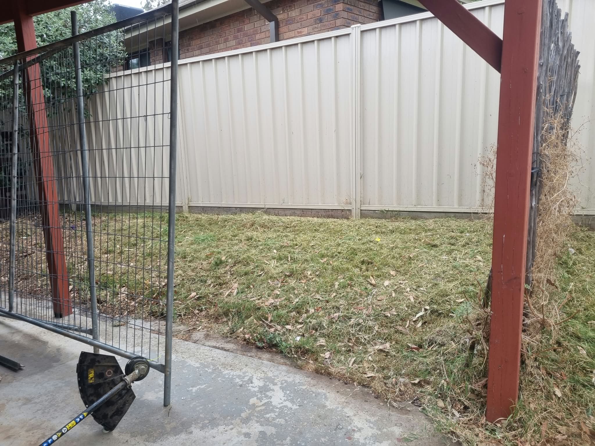 Garden area after grass and weeds were cut back