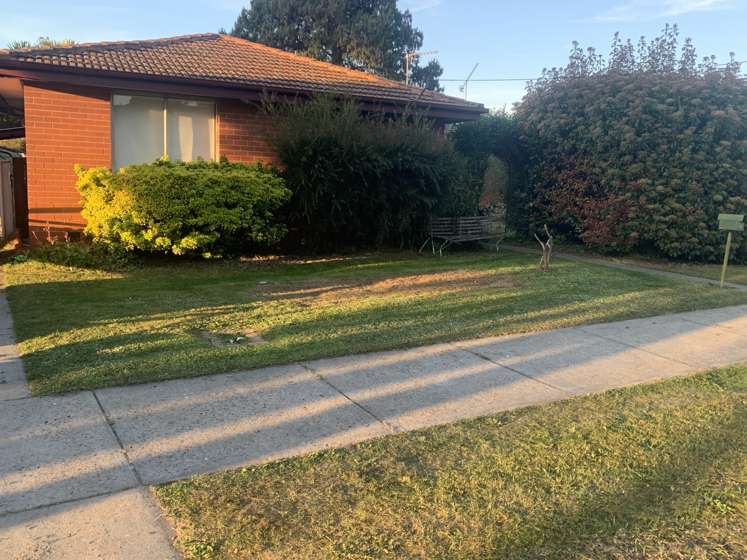 Garden area after maintenance and clean-up