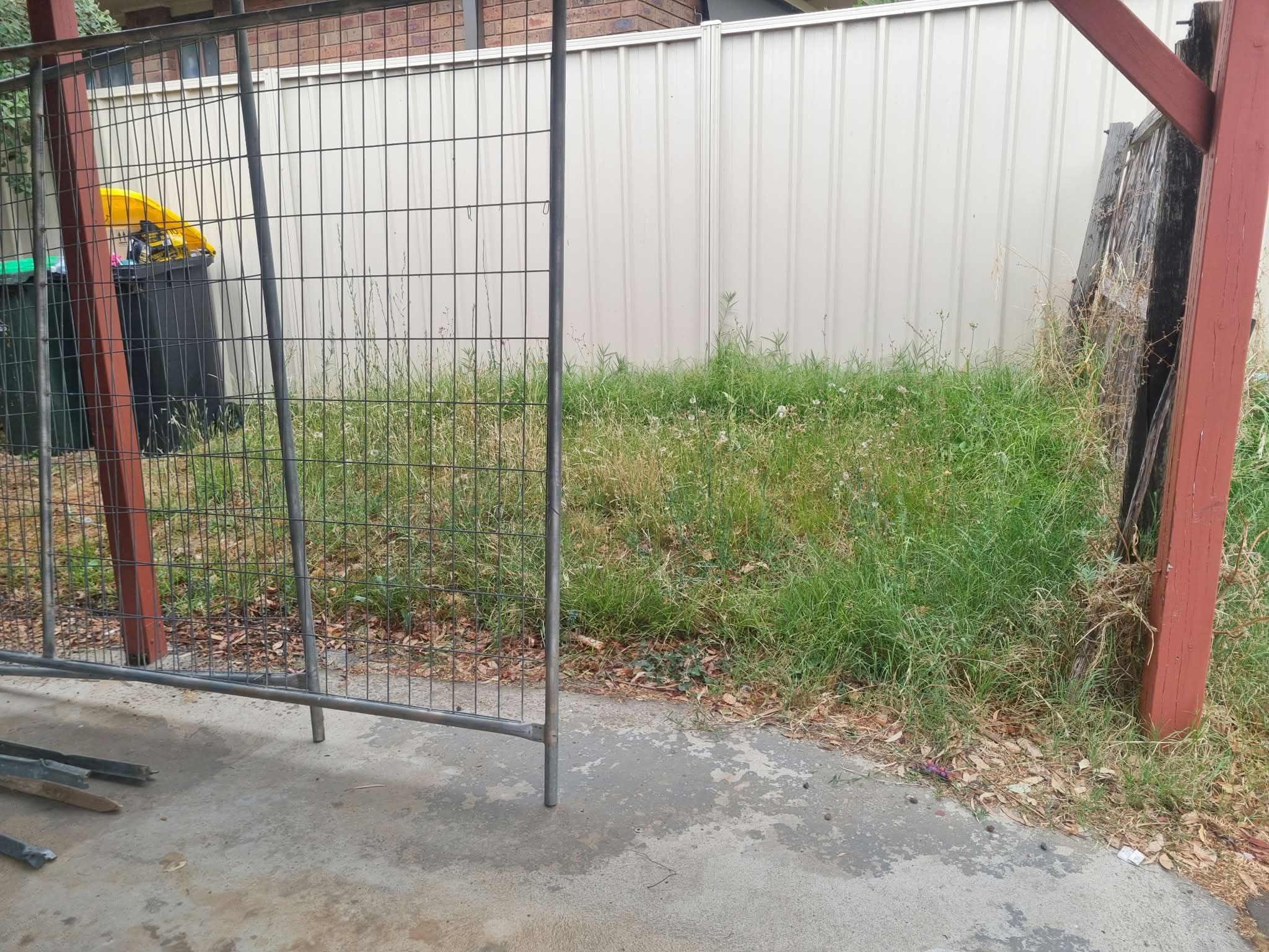 Overgrown garden area before maintenance