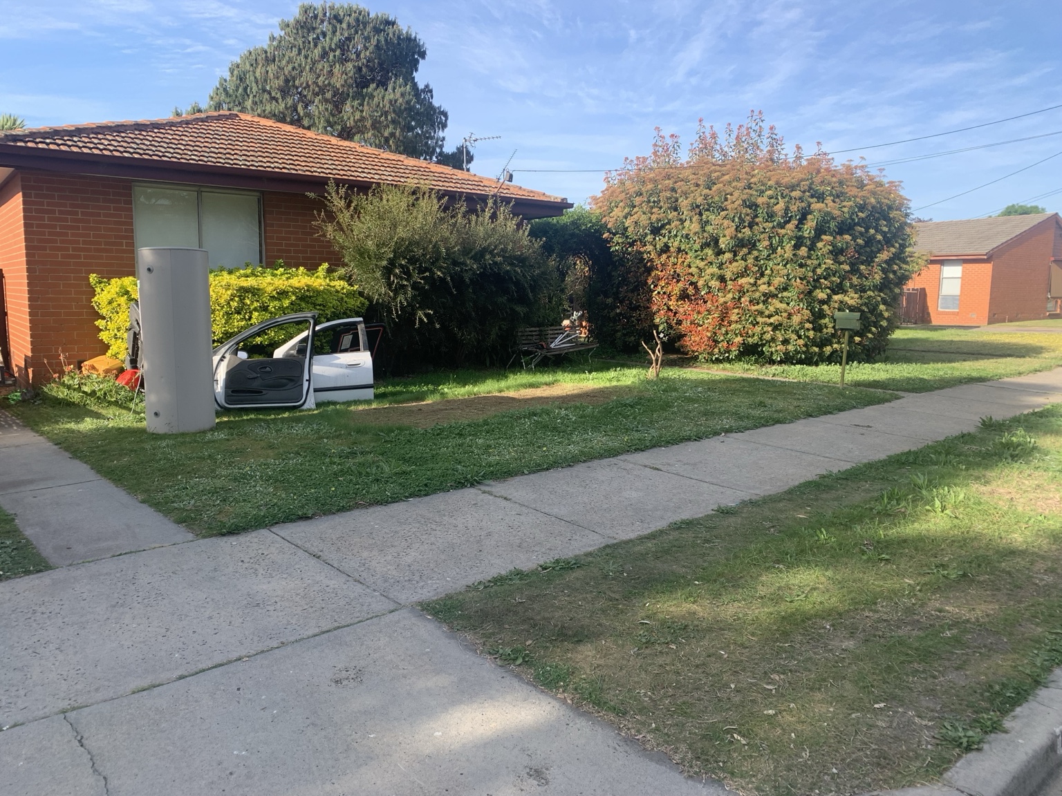 Overgrown garden and weeds before maintenance